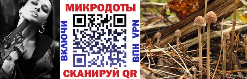 Галлюциногенные грибы GOLDEN TEACHER  Купить закладки  Волгодонск 